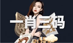 49个码选码软件 - 49个码选码软件老版下载V